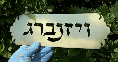 שלט ויזנברג