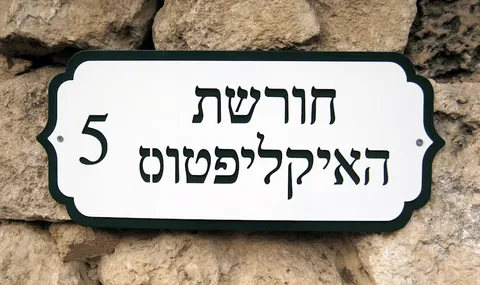 שלטי הכוונה - שלטים לבית: חורשת האיקליפטוס