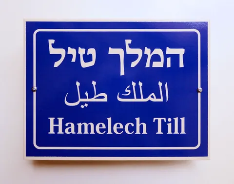 hamelech till