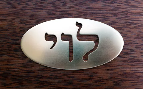 SKT פליז לוי