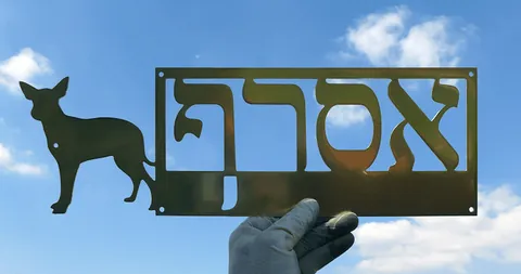 SKT שלט אסרף