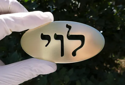 SKT שלט ברונזה לוי