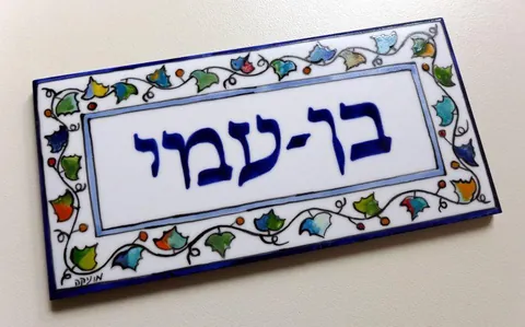 שלט בן עמי