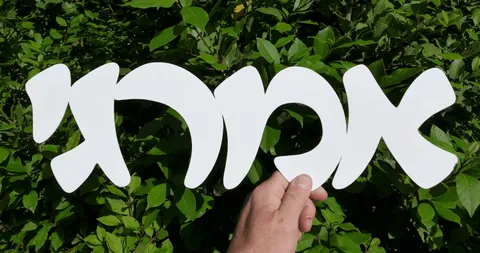 שלט גדול לבית