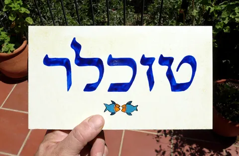 שלט טוכלר SKT