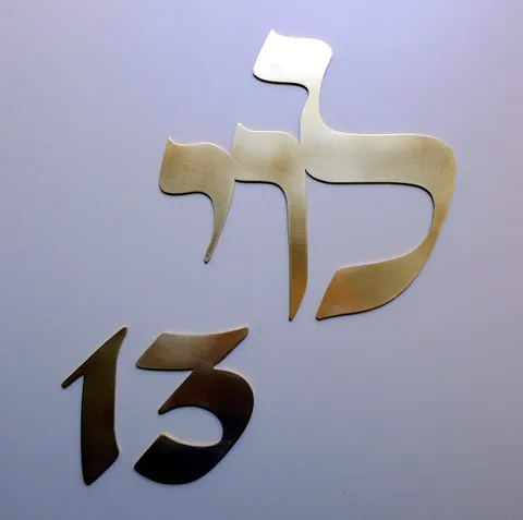 שלט-לוי