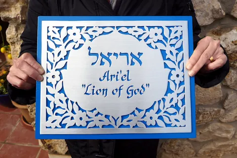שלט אריאל