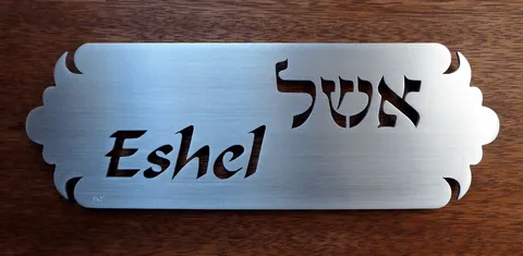 שלט אשל