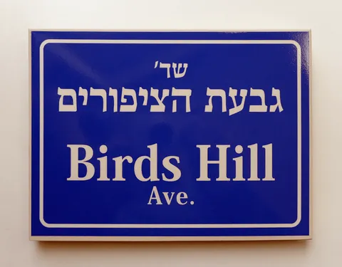 שלט ישראלי וינטג