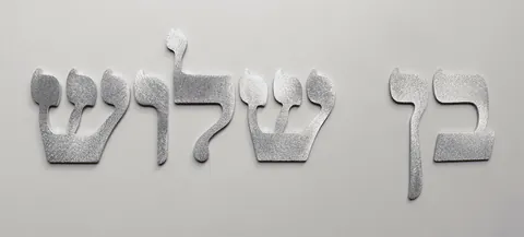 BRUSHED ALUMINUM LETTERS