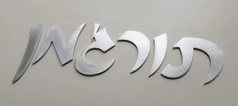 BRUSHED METAL LETTERS