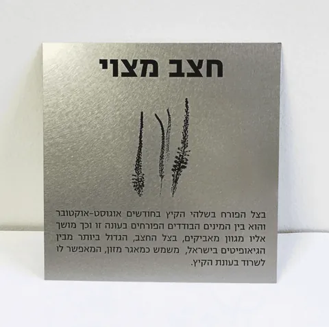 שלט זכרון