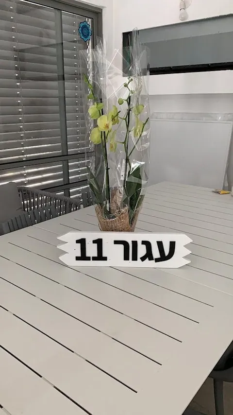 תמונה מלקוח 28