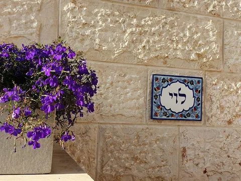 תמונה מלקוח 36