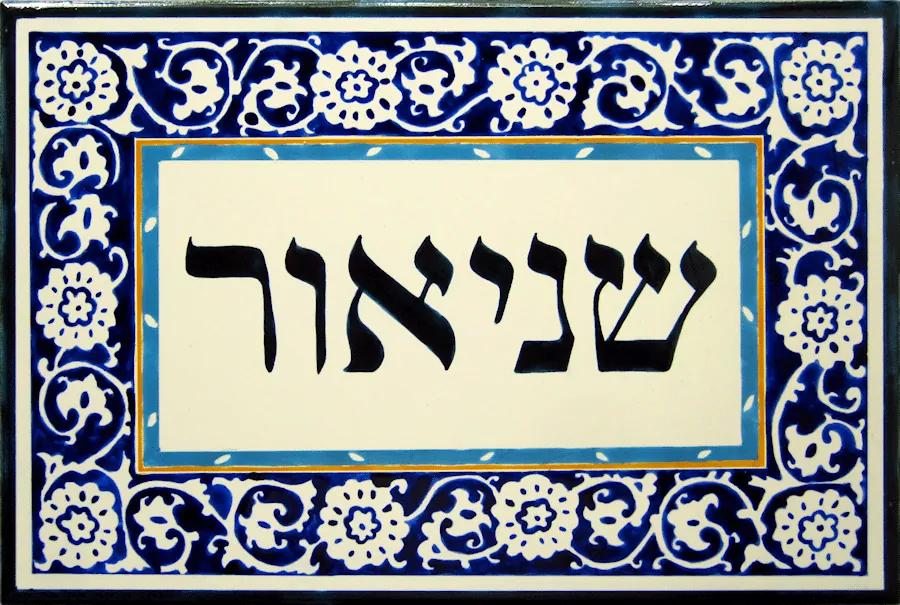 אריחים מצויירים: דגם ציטרון 20*30
