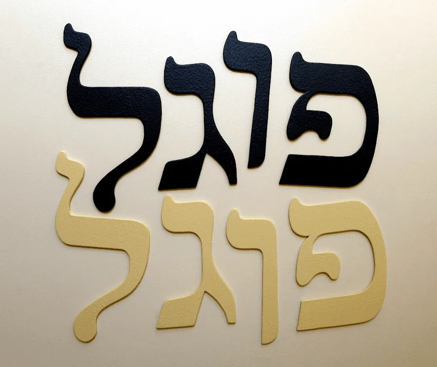 SKT שלט פוגל